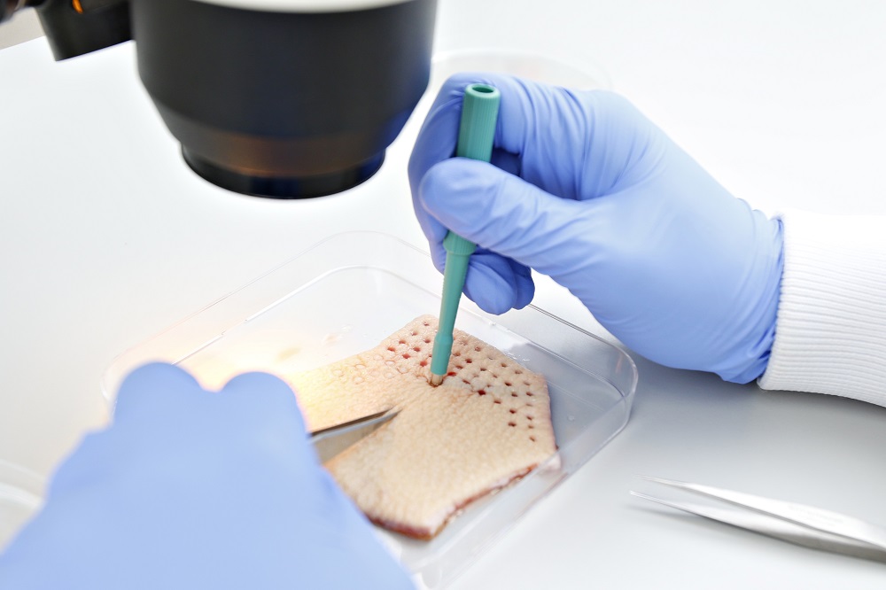 Human Tissue Testing in Drug Discovery and Development